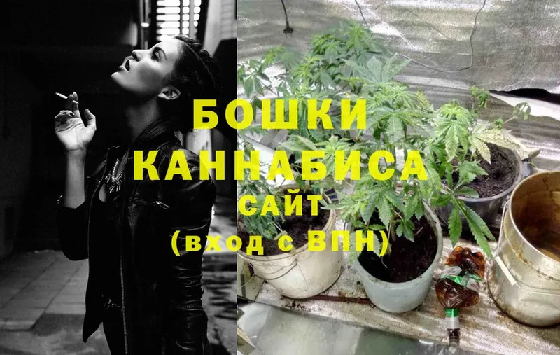 сколько стоит  Серпухов  Каннабис SATIVA & INDICA 